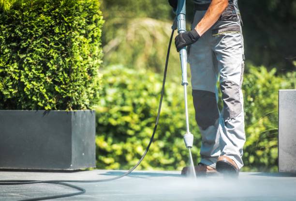 Best Building Exterior Washing  in Brownsville, PA