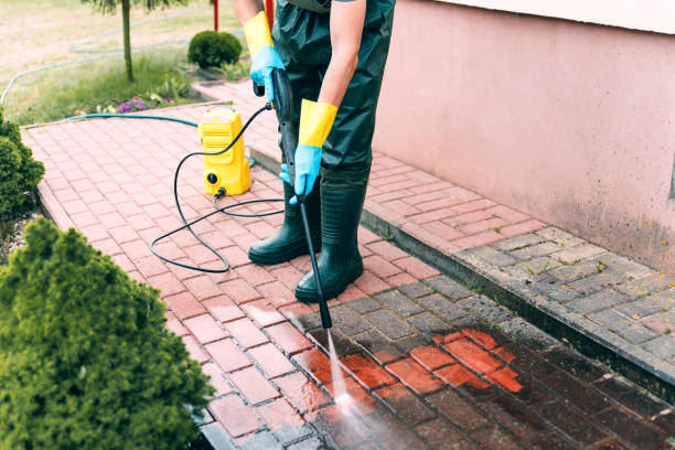 Best Roof Washing  in Brownsville, PA